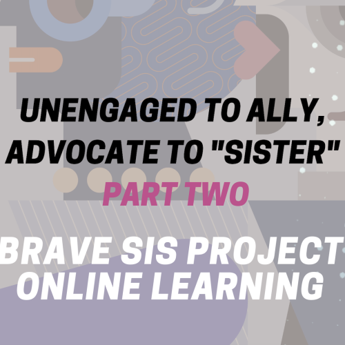 Unengaged to Ally, Advocate to "Sister": Part Two Course (LIFETIME)